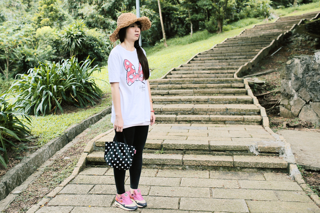 永春崗公園的象山散策 永春崗公園的象山散策