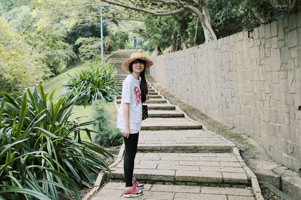 永春崗公園的象山散策 永春崗公園的象山散策