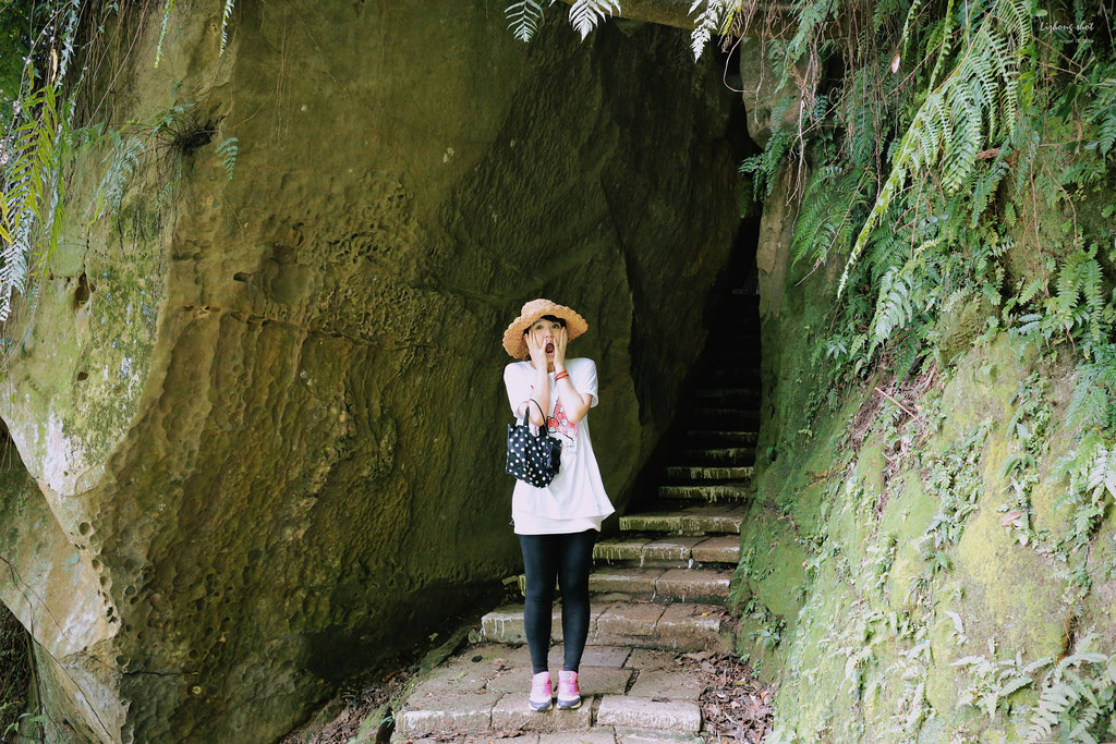永春崗公園的象山散策 永春崗公園的象山散策