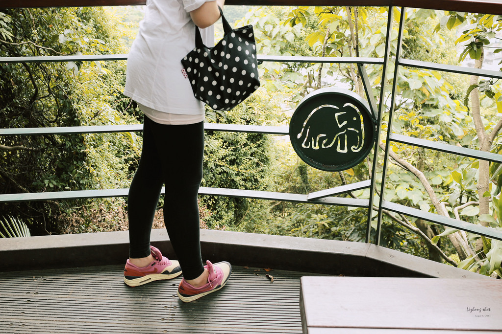 永春崗公園的象山散策 永春崗公園的象山散策