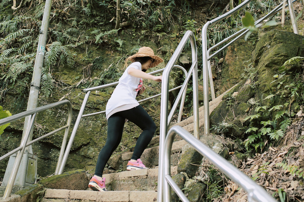 永春崗公園的象山散策 永春崗公園的象山散策