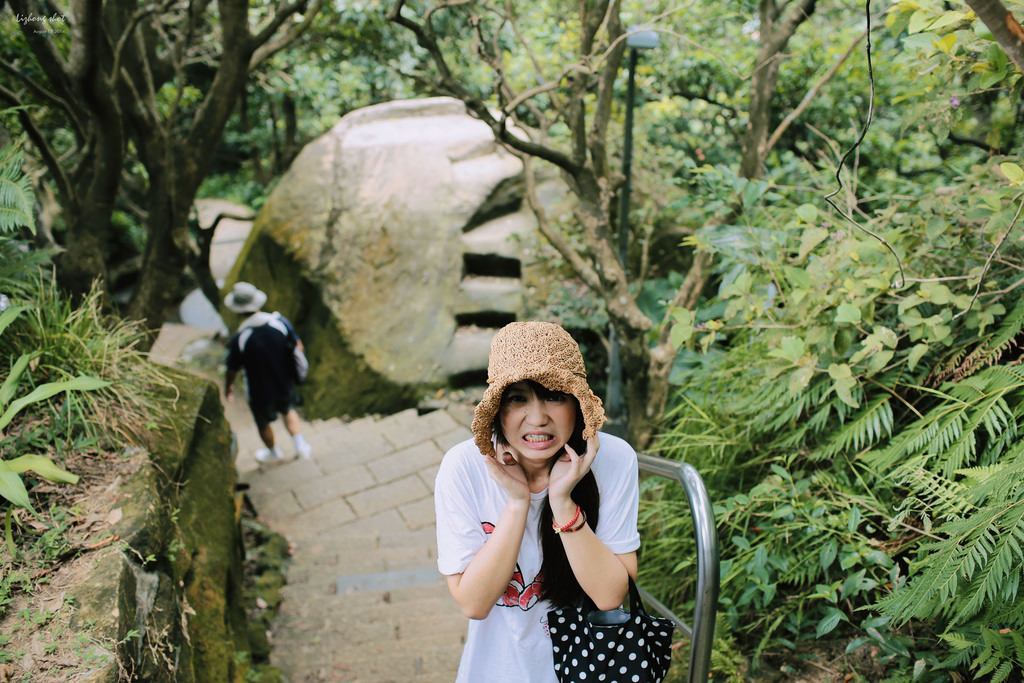 永春崗公園的象山散策 永春崗公園的象山散策