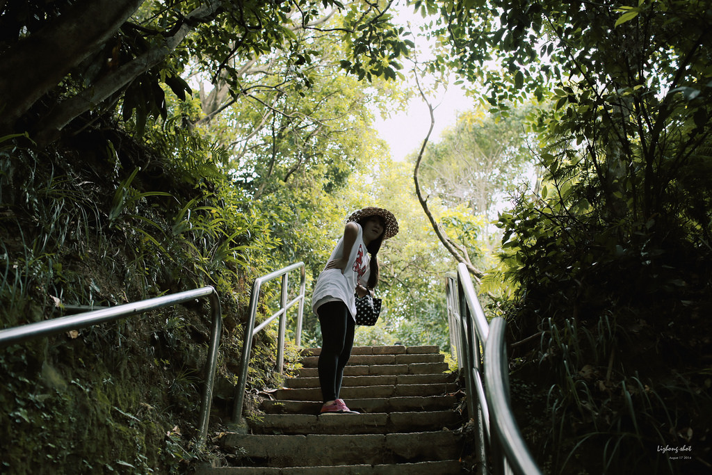 永春崗公園的象山散策 永春崗公園的象山散策