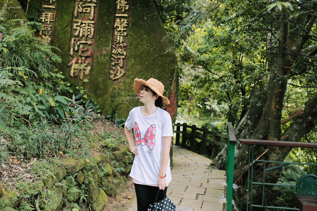 永春崗公園的象山散策 永春崗公園的象山散策