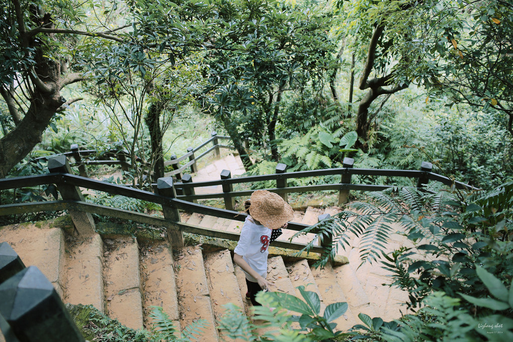 永春崗公園的象山散策 永春崗公園的象山散策