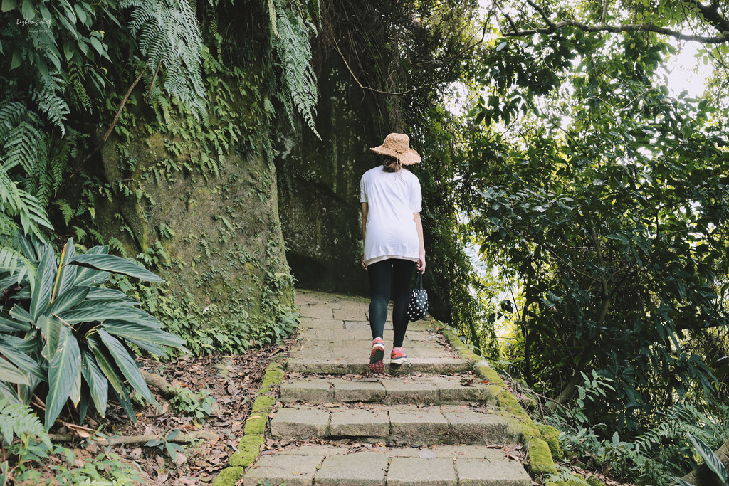 永春崗公園的象山散策 永春崗公園的象山散策