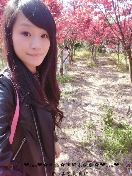 陽明山平等里：【遊記】oO。台北 陽明山 楓紅槭樹 漂亮的三月楓紅，真的第一次看到，不輸真正的楓紅～。o○。