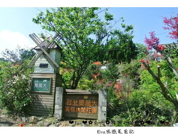 陽明山平等里：【遊記】oO。台北 陽明山 楓紅槭樹 漂亮的三月楓紅，真的第一次看到，不輸真正的楓紅～。o○。