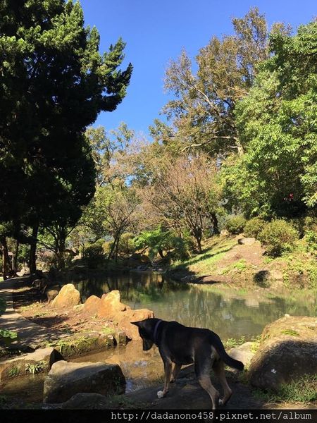 14910379_631871123650984_170527589624464460_n