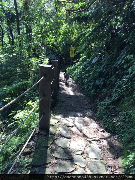 14963184_631871186984311_7149089729867307752_n