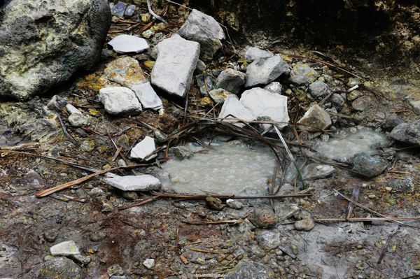 陽明山竹子湖：✡*台北市-北投區/陽明山-竹子湖+小油坑