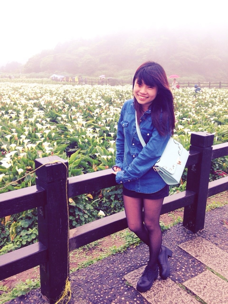 【台北】陽明山當天來回海芋行程秘密基地看日落超滿足