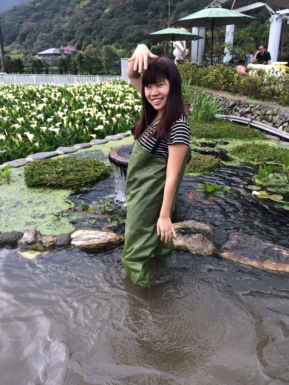 【台北】陽明山當天來回海芋行程秘密基地看日落超滿足