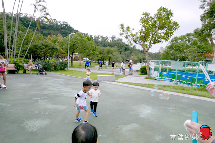 nEO_IMG_nEO_IMG_P1000919 nEO_IMG_nEO_IMG_P1000919