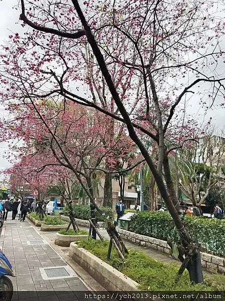 艾媽咪美式鄉村派行動車