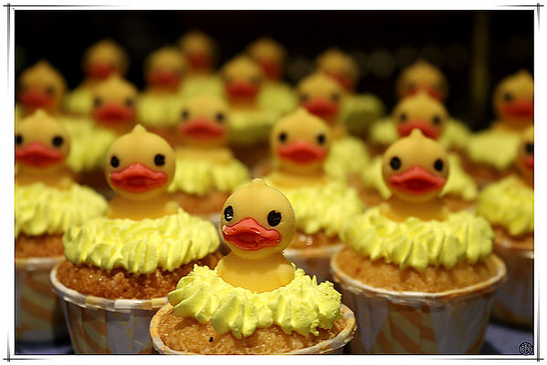 IMG_4175.JPG IMG_4175.JPG