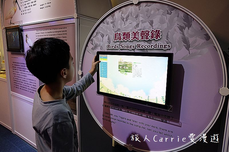 陽明海洋文化藝術館【基隆旅遊】～開輪船模擬體驗區‧海洋教室皮雕DIY‧讓親子變身船長航海王的創意生活點