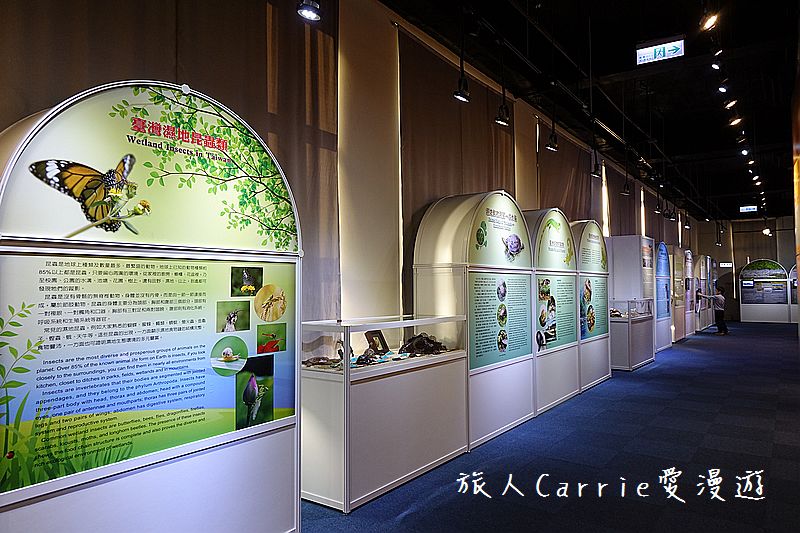 陽明海洋文化藝術館【基隆旅遊】～開輪船模擬體驗區‧海洋教室皮雕DIY‧讓親子變身船長航海王的創意生活點