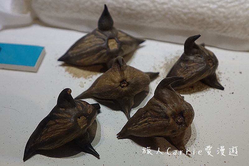 陽明海洋文化藝術館【基隆旅遊】～開輪船模擬體驗區‧海洋教室皮雕DIY‧讓親子變身船長航海王的創意生活點