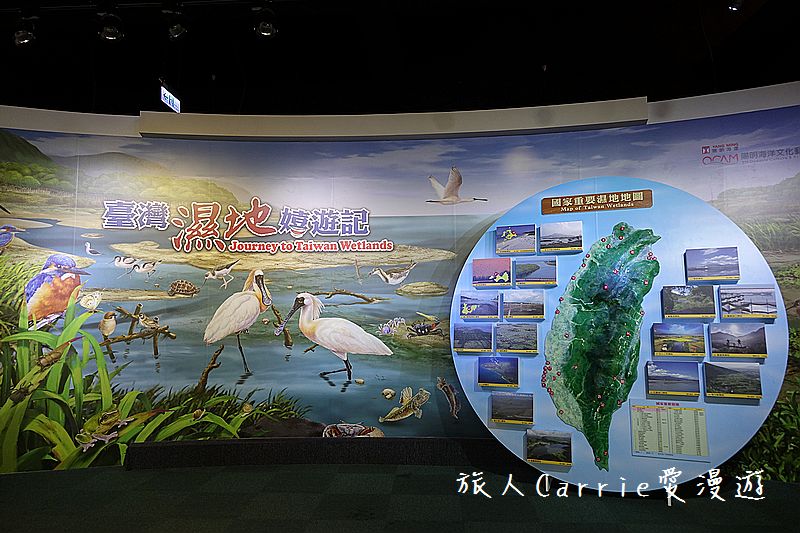 陽明海洋文化藝術館【基隆旅遊】～開輪船模擬體驗區‧海洋教室皮雕DIY‧讓親子變身船長航海王的創意生活點