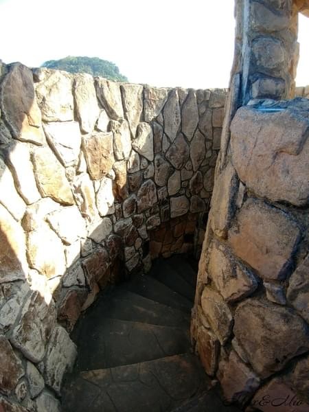 情人湖公園：欣賞美景-浪漫情人湖漫遊❤️