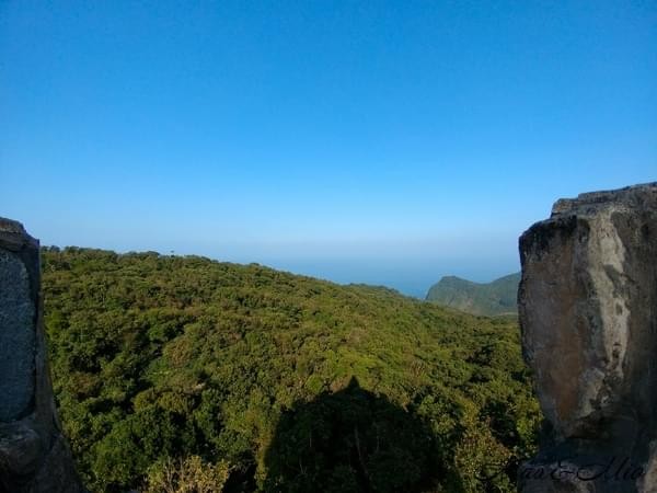 情人湖公園：欣賞美景-浪漫情人湖漫遊❤️