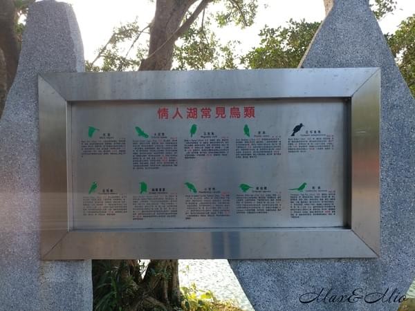 情人湖公園：欣賞美景-浪漫情人湖漫遊❤️