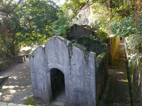 情人湖公園：欣賞美景-浪漫情人湖漫遊❤️