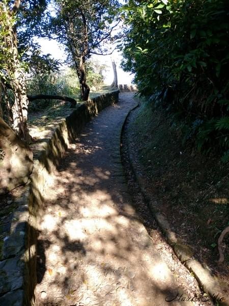 情人湖公園：欣賞美景-浪漫情人湖漫遊❤️