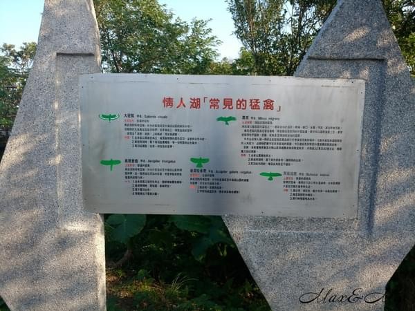 情人湖公園：欣賞美景-浪漫情人湖漫遊❤️