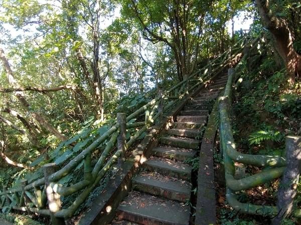 情人湖公園：欣賞美景-浪漫情人湖漫遊❤️