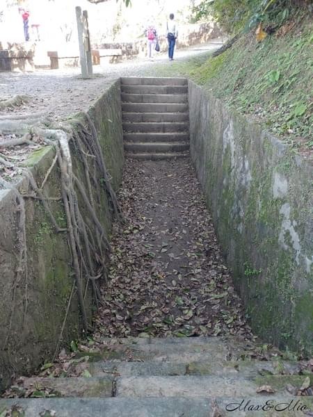 情人湖公園：欣賞美景-浪漫情人湖漫遊❤️