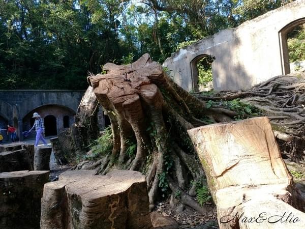 情人湖公園：欣賞美景-浪漫情人湖漫遊❤️