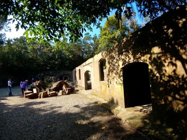 情人湖公園：欣賞美景-浪漫情人湖漫遊❤️