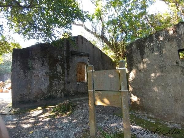 情人湖公園：欣賞美景-浪漫情人湖漫遊❤️