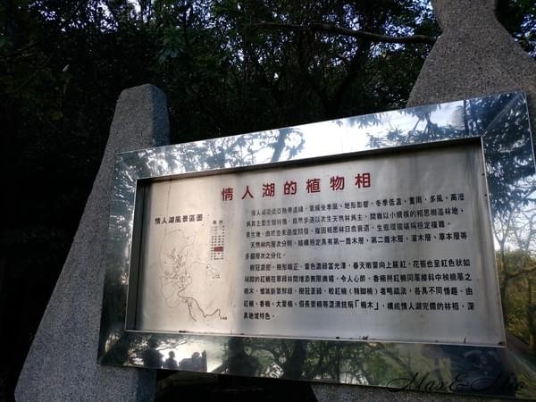 情人湖公園：欣賞美景-浪漫情人湖漫遊❤️