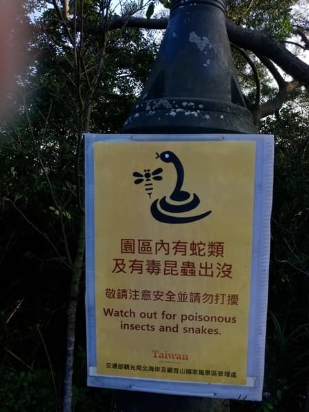 情人湖公園：欣賞美景-浪漫情人湖漫遊❤️