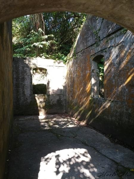 情人湖公園：欣賞美景-浪漫情人湖漫遊❤️