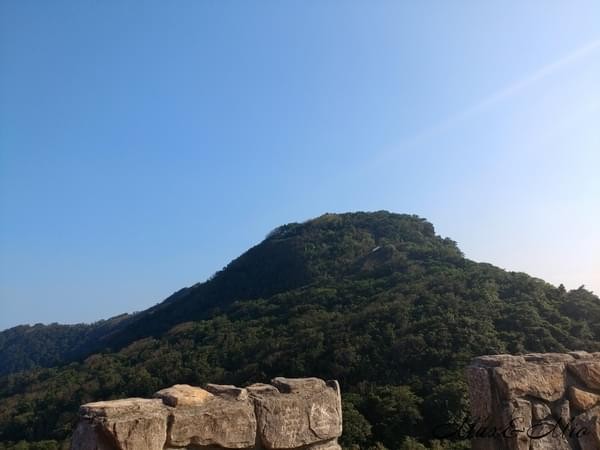 情人湖公園：欣賞美景-浪漫情人湖漫遊❤️