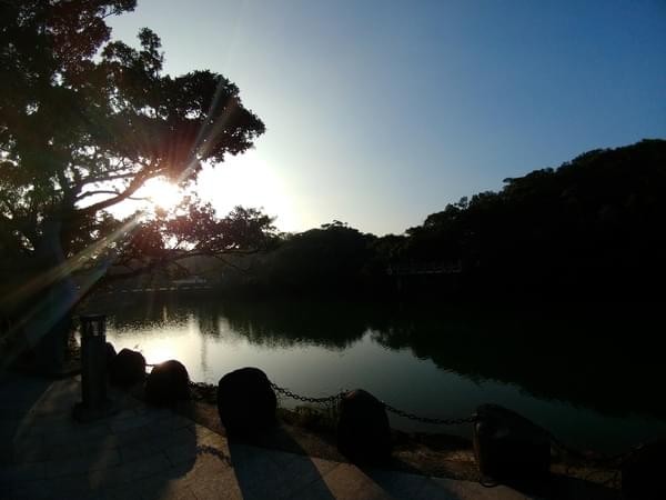 情人湖公園：欣賞美景-浪漫情人湖漫遊❤️