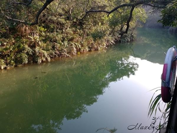 情人湖公園：欣賞美景-浪漫情人湖漫遊❤️