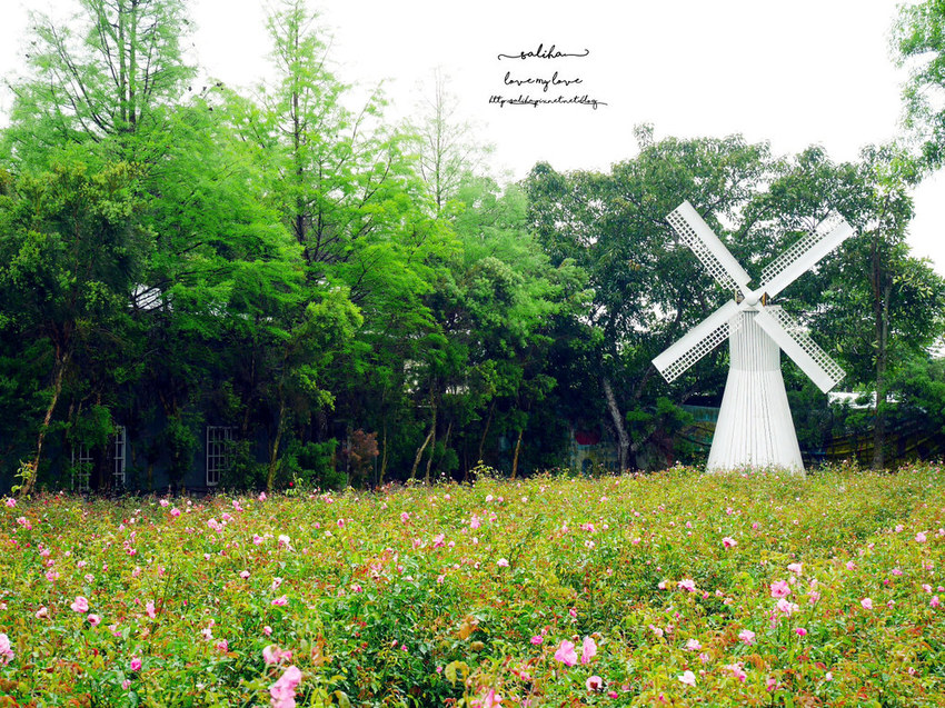 苗栗旅遊免費好玩景點推薦雅聞香草觀光工廠花園 (1)