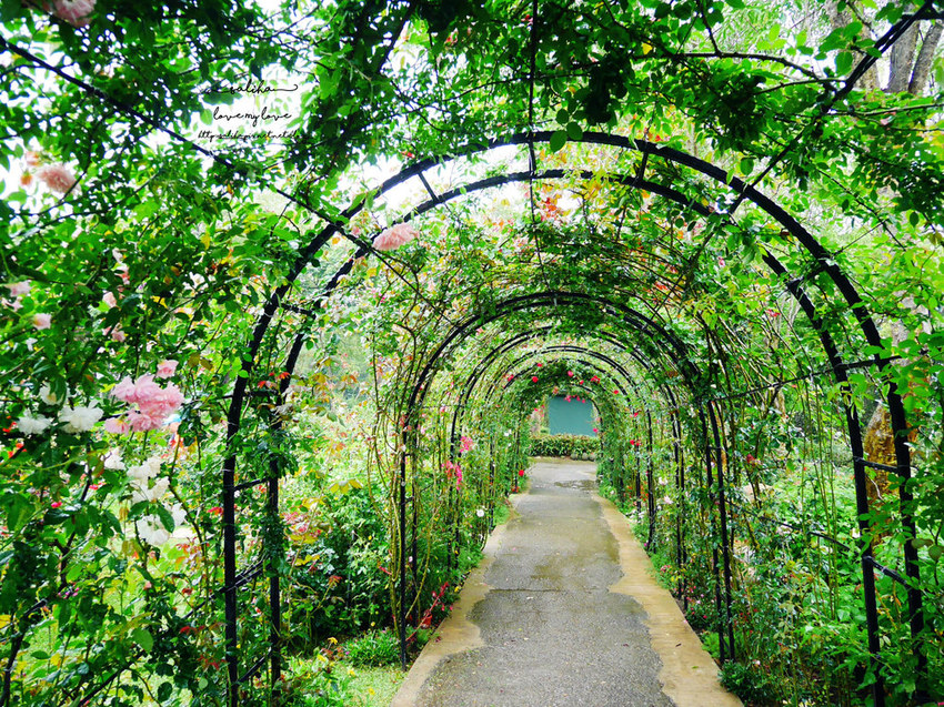 苗栗旅遊免費好玩景點推薦雅聞香草觀光工廠花園 (6)