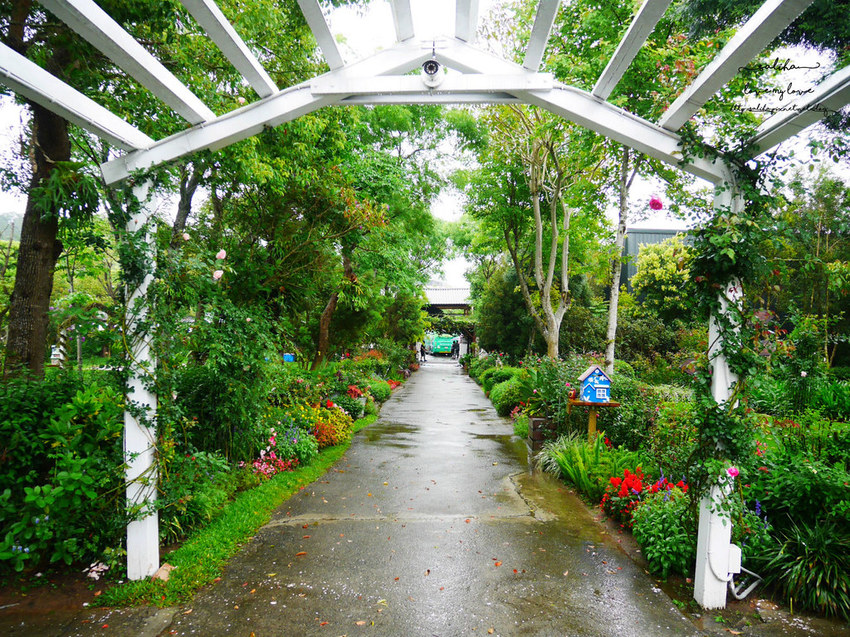 苗栗旅遊免費好玩景點推薦雅聞香草觀光工廠花園 (4)