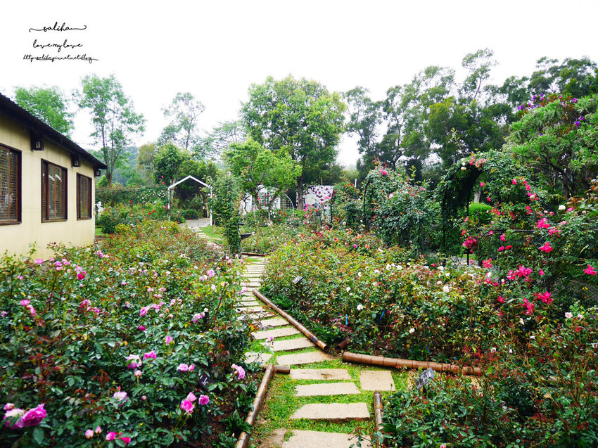 苗栗旅遊免費好玩景點推薦雅聞香草觀光工廠花園 (3)