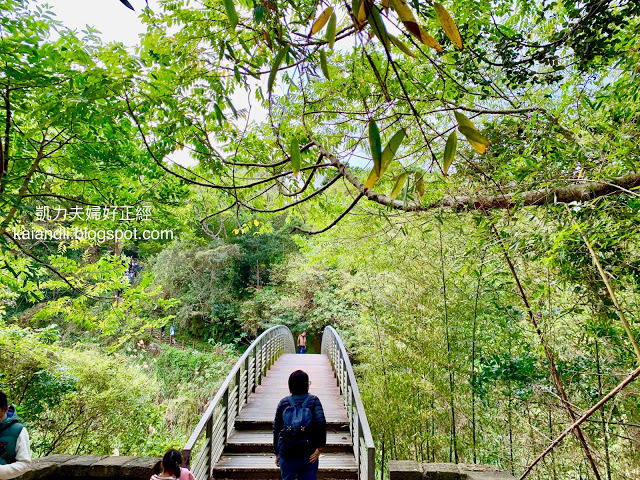 2020苗栗一日旅遊懶人包》不花大錢的輕鬆規劃行程