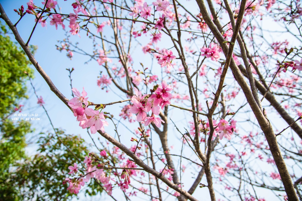 DSC_8753.jpg DSC_8753.jpg