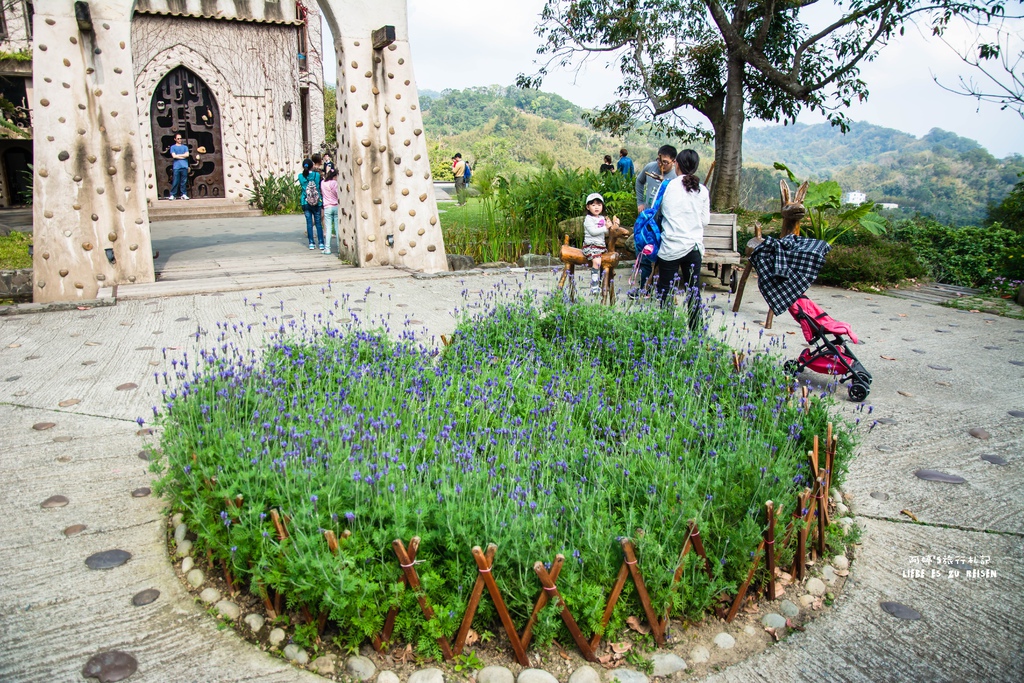 DSC_8708.jpg DSC_8708.jpg