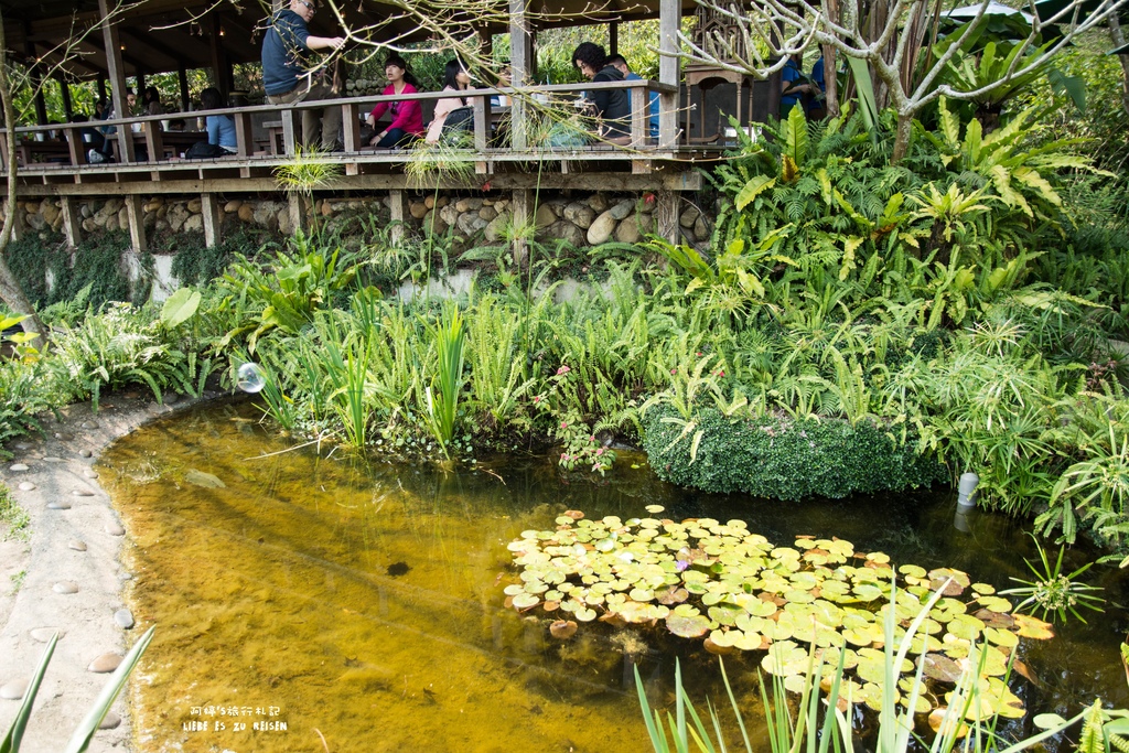 DSC_8727.jpg DSC_8727.jpg