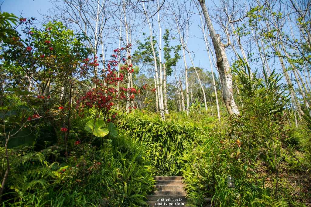 DSC_8662.jpg DSC_8662.jpg